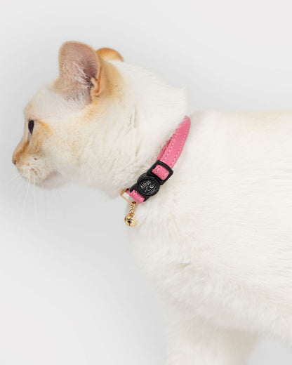 Flame point siamese x ragdoll cat wearing a pink Atlas + Co collar