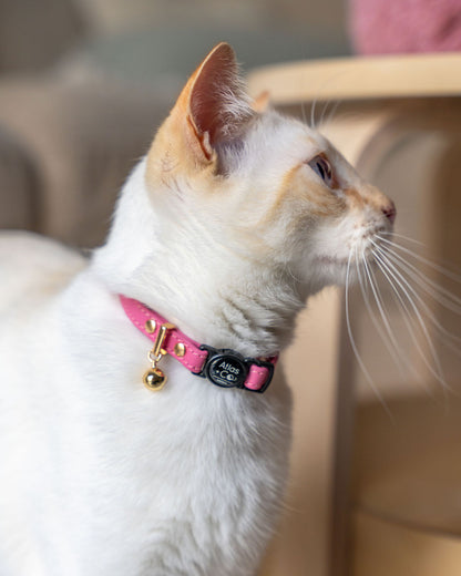 Flame point siamese  x ragdoll wearing a pink Atlas + Co collar