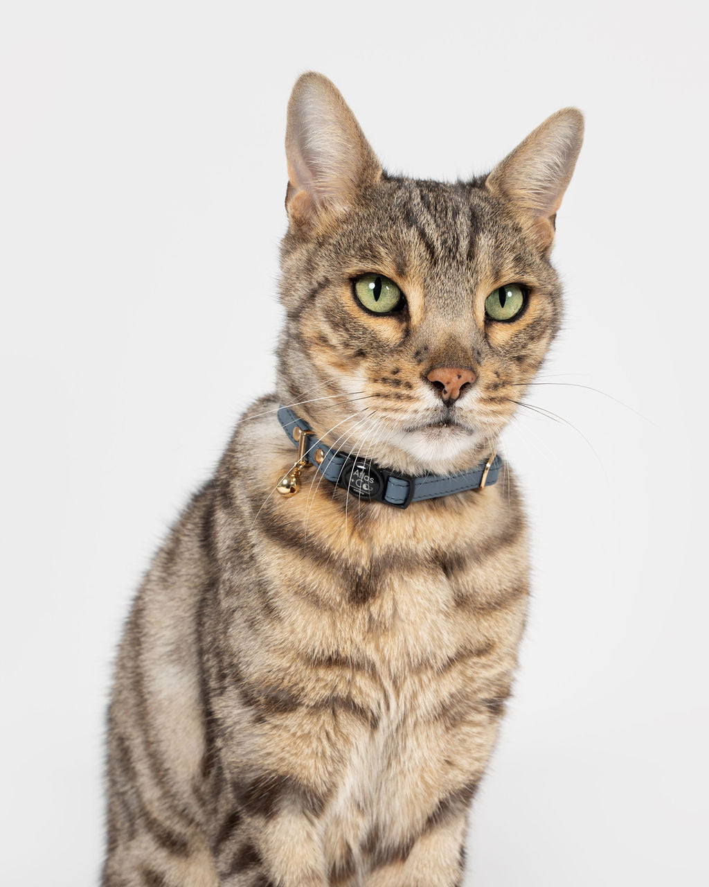 Petite Leather Kitten Collar