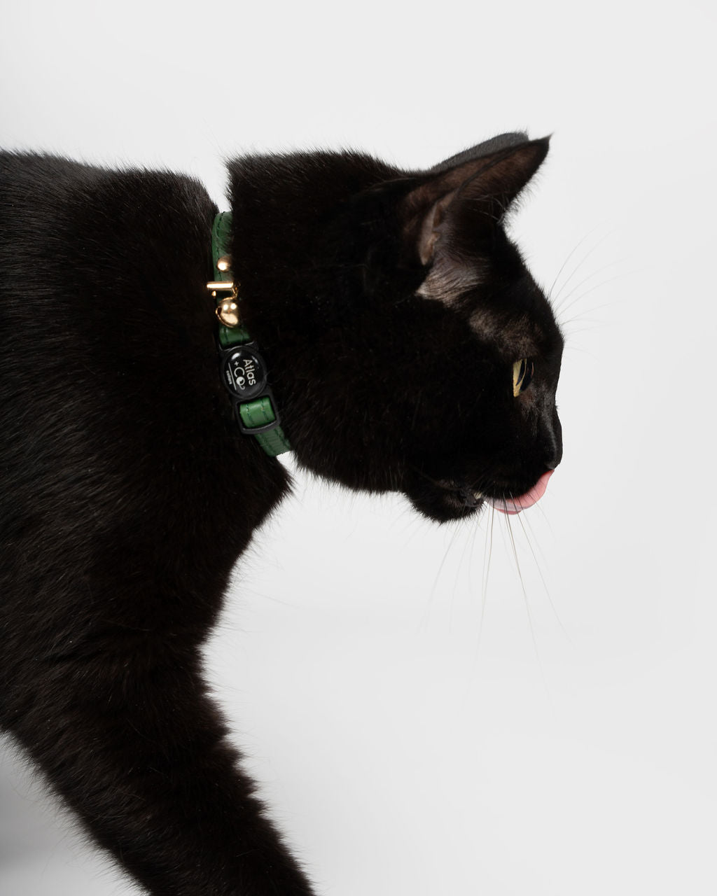 Petite Leather Kitten Collar