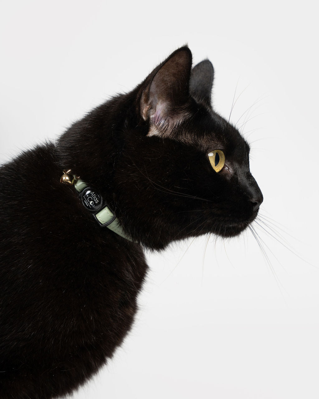 Petite Leather Kitten Collar