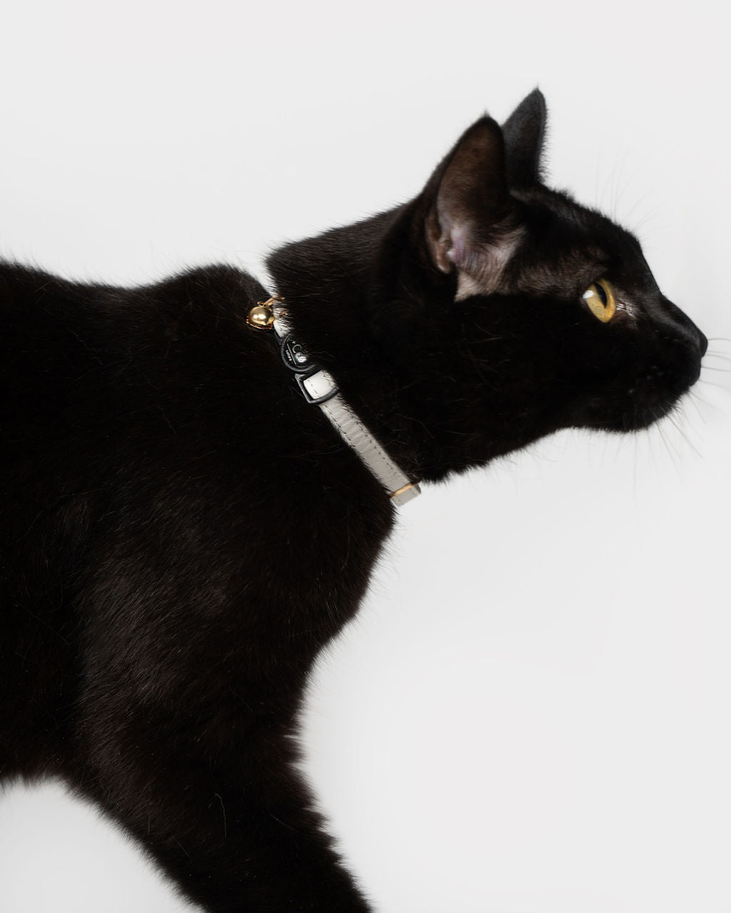 Petite Leather Kitten Collar