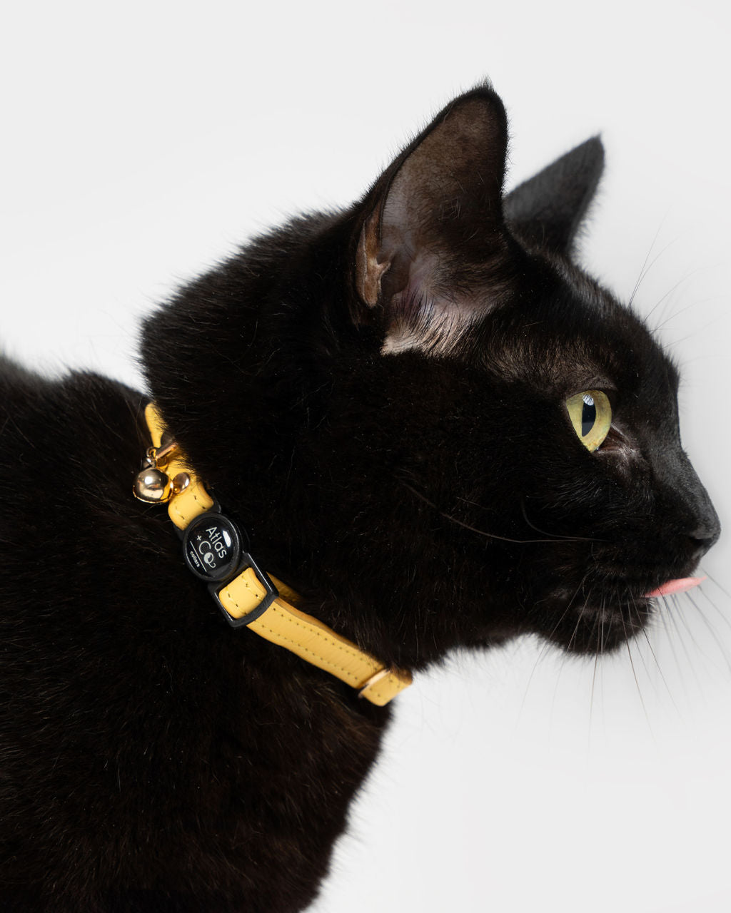 Petite Leather Kitten Collar
